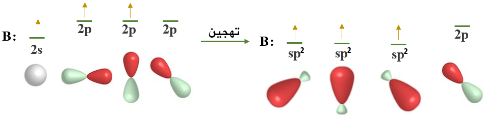 تهجين ذرة البورون